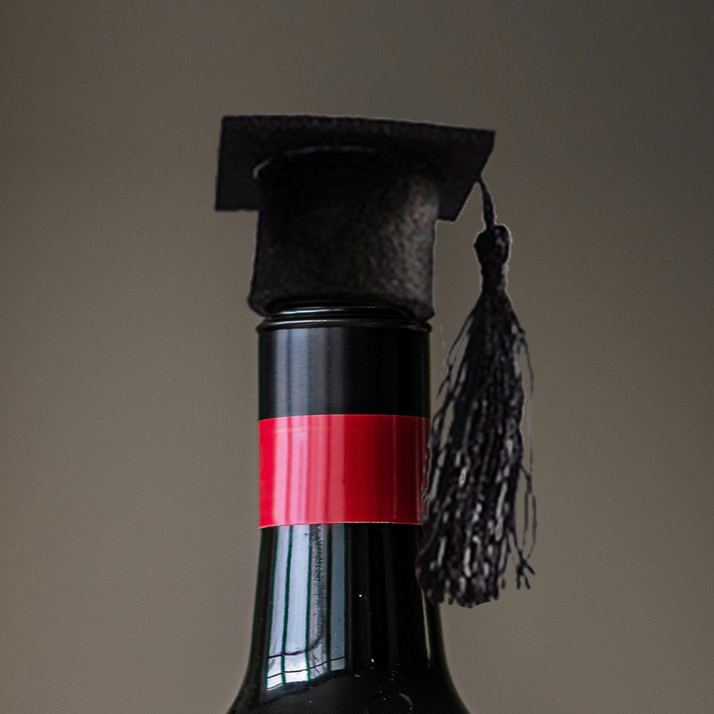6 Stück Doktorhut Mini-Abschlu – Wine Beer Festival Bewertung und Preis