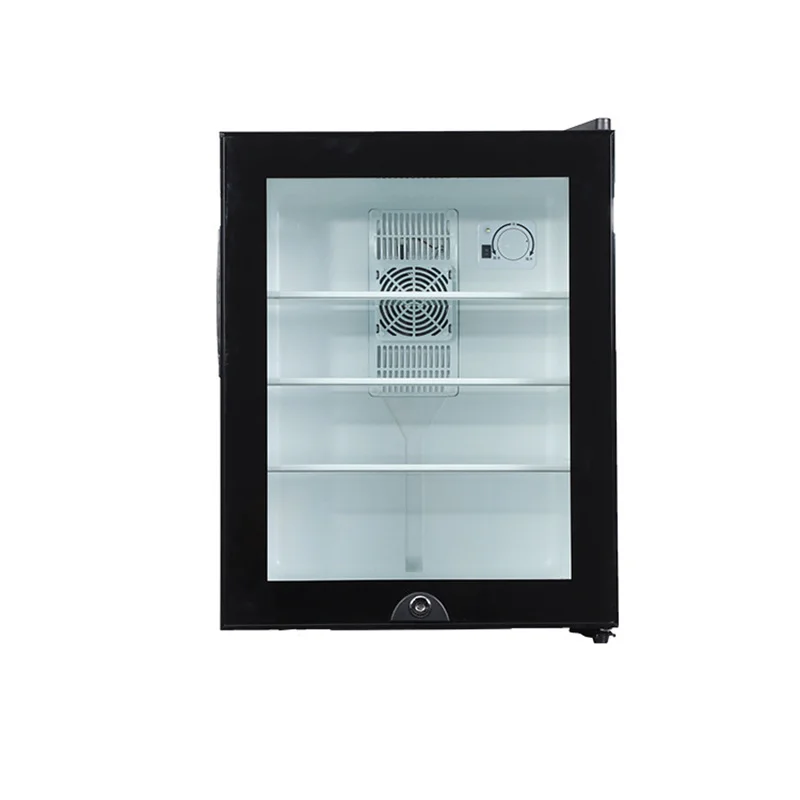 Mini-Kühlschrankkühler, 40 l,  – Wine Beer Cooler Fridge Bewertung und Preis
